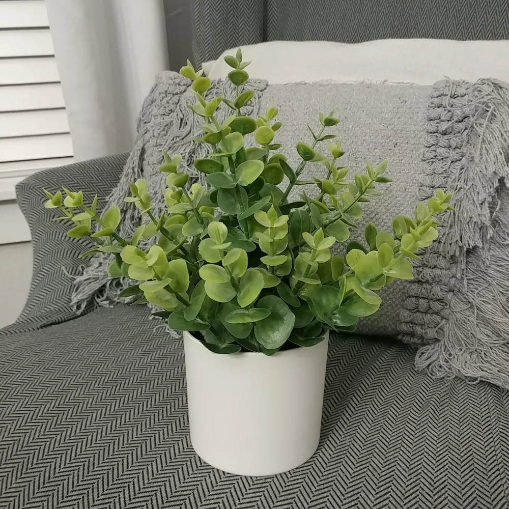 Boxwood Faux Plant Artificial Green Boxwood Arrangement White Planter- Threshold